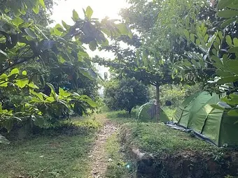 IMG1722942613345