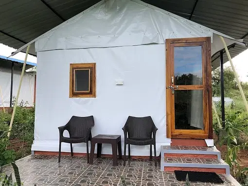 IMG1723199299696