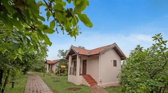 IMG1724322534966