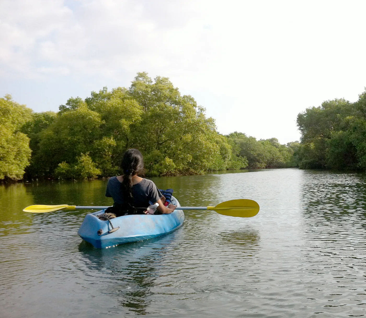 Kayaking in the Backwaters & Mangroves of Pondy