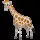 Zeep Safari1650373362.jpg