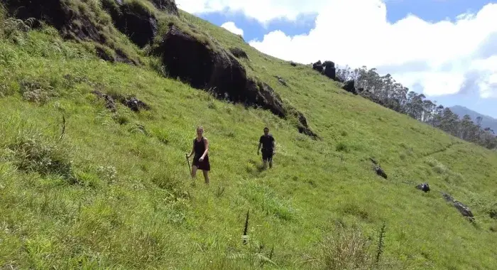 Hike through the Valleys, Plantations and Peaks of Munnar!