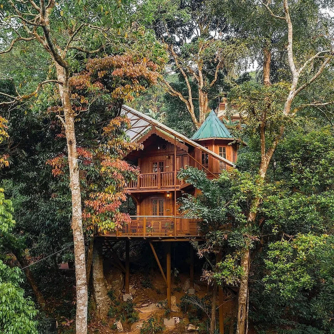 Stay at a Charming Treehouse in Coorg