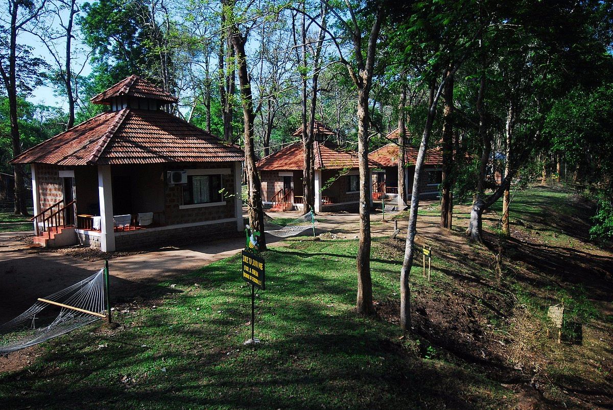 The Ultimate Guide To Dubare Elephant Camp | Coorg Jungle Lodges & Resorts