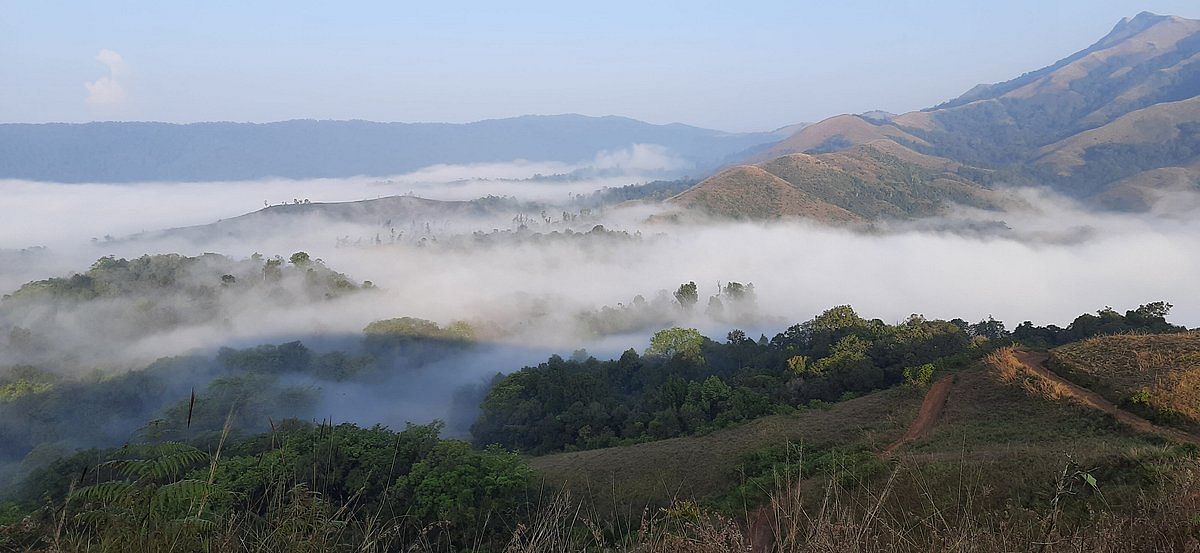 Coorg Jungle Mist, Madikeri – Updated 2024 Prices