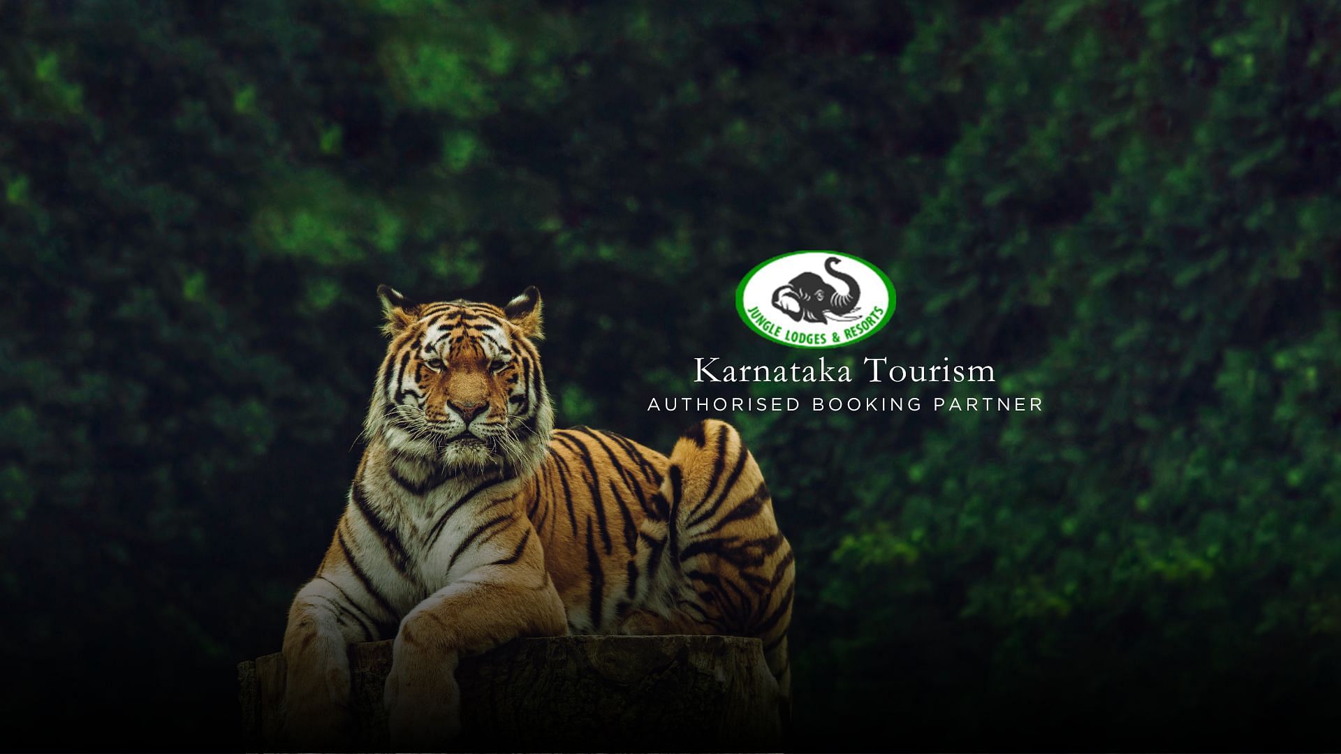 wildlife safari karnataka