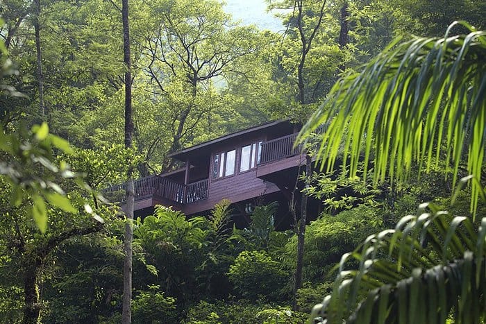 Yoga & Nature Retreat at Ekkodlu Homestay