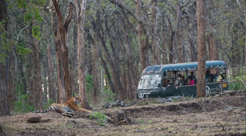 wildlife safari karnataka