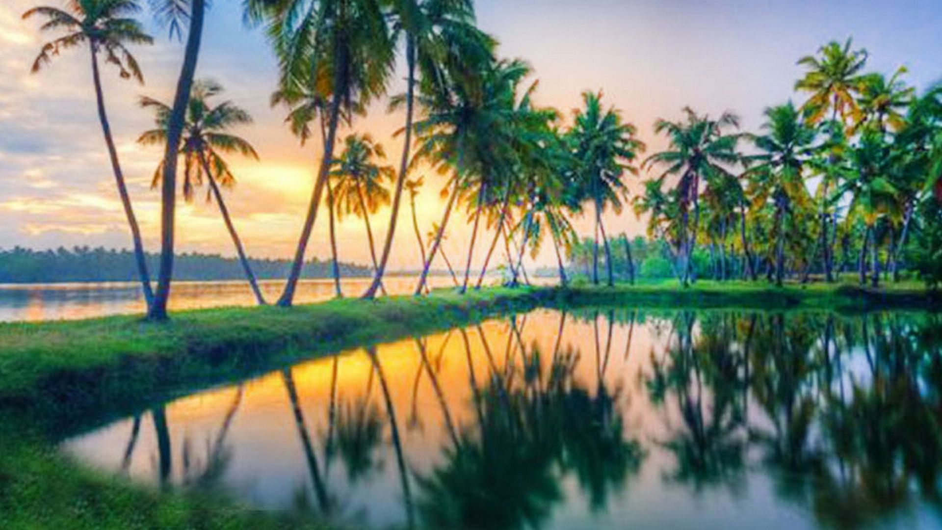 Discover Kerala's Charm: Exclusive Tour Packages for Couples & Families, Priced from ₹18,075