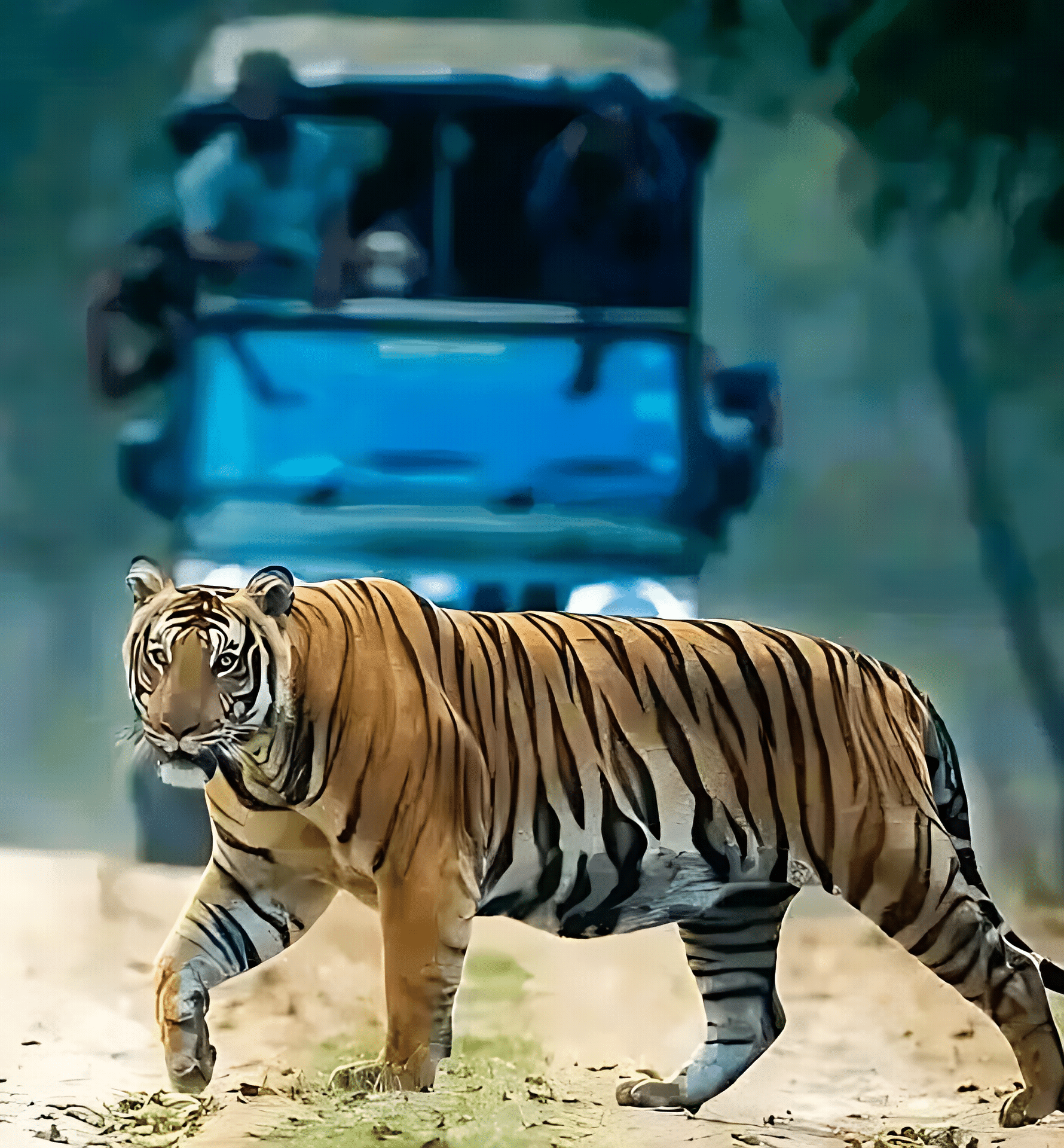 Kabini River Lodge - Jungle Lodges & Resorts | Your Trusted Booking Platform