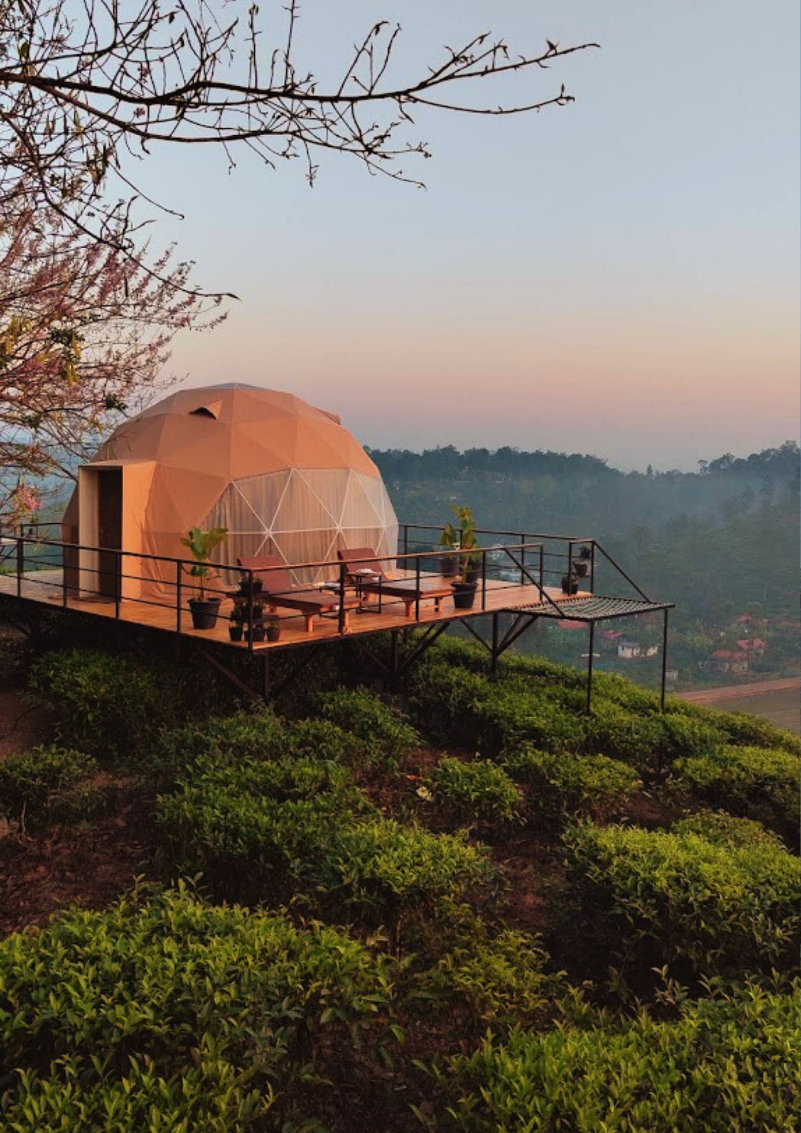 Geodesic Dome In Wayanad - Hipnoetic Stays