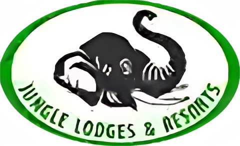 Jungle Lodges & Resorts