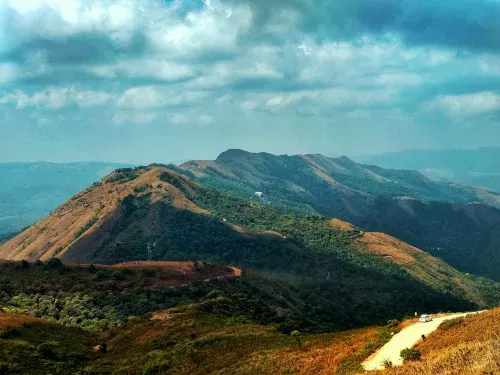 Coorg coffee estate, Karnataka