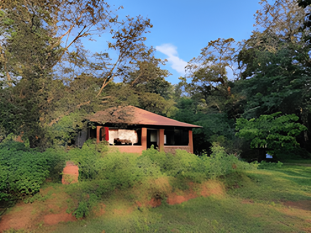 Wilderness Hideaway