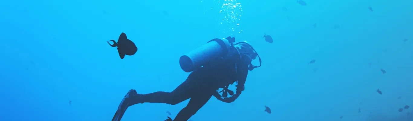 Scuba Diving near Bangalore, India