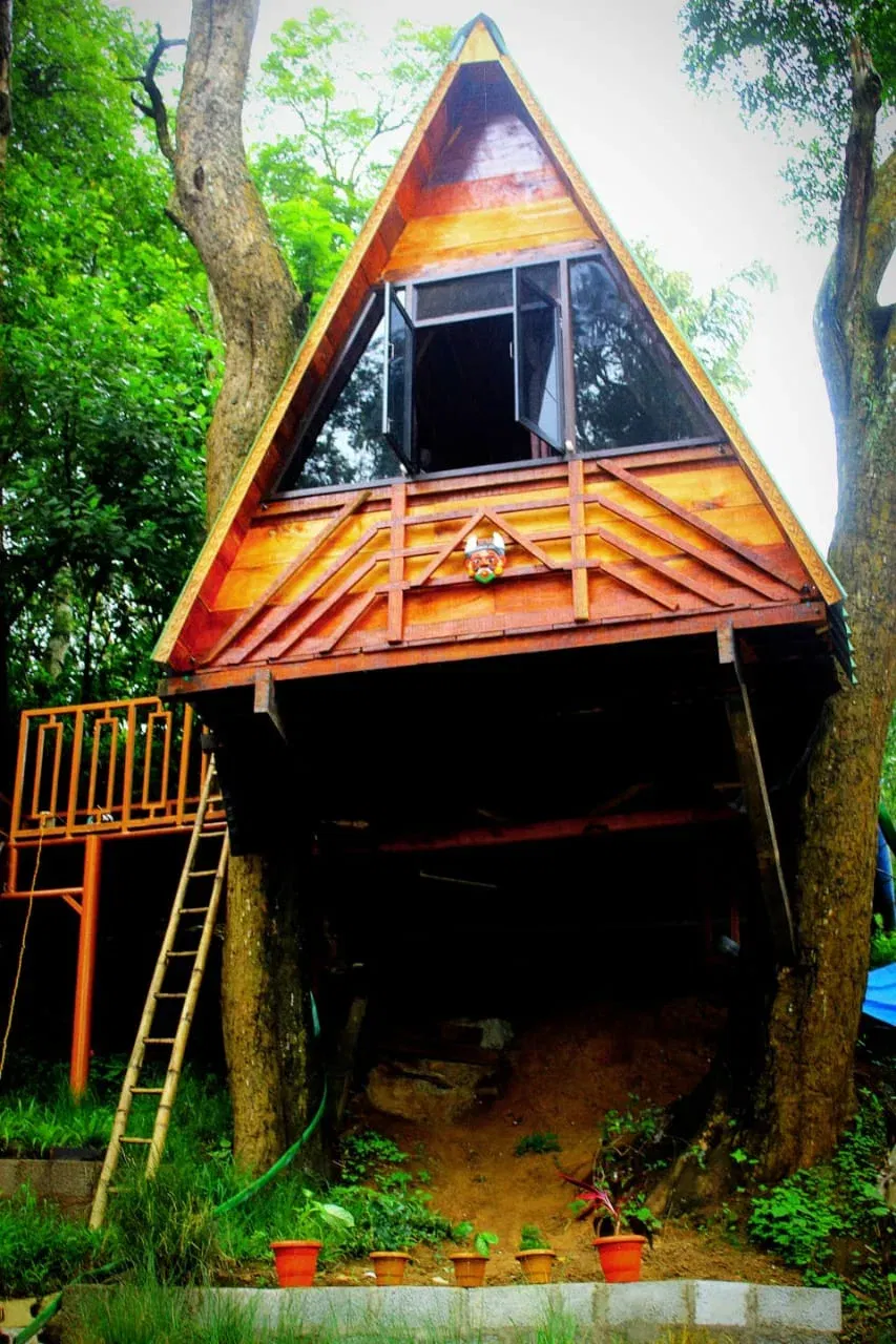 Econest- Cozy Treehouse in Coorg