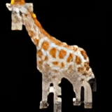 Zeep Safari1650373362.jpg