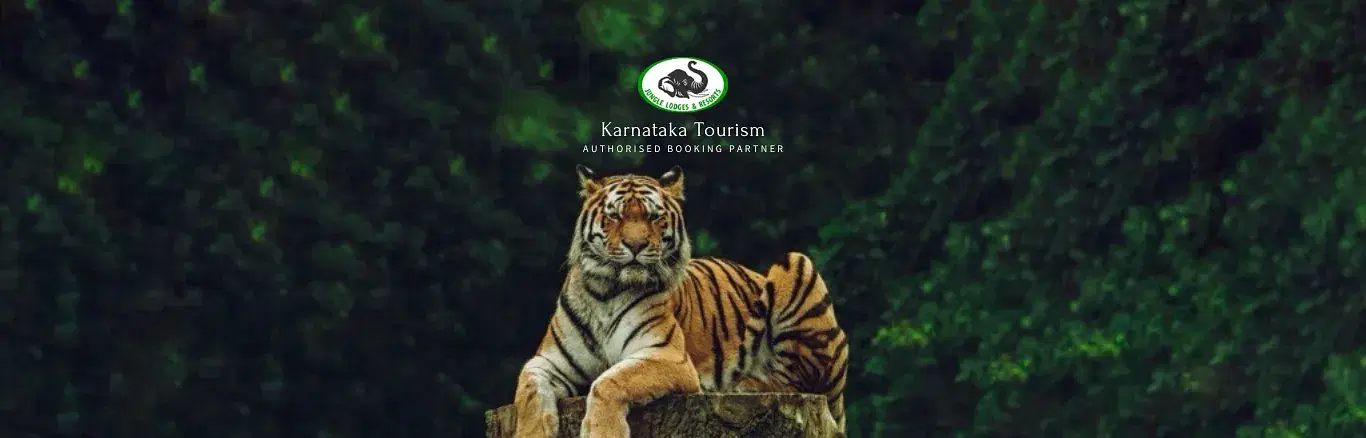 wildlife safari karnataka