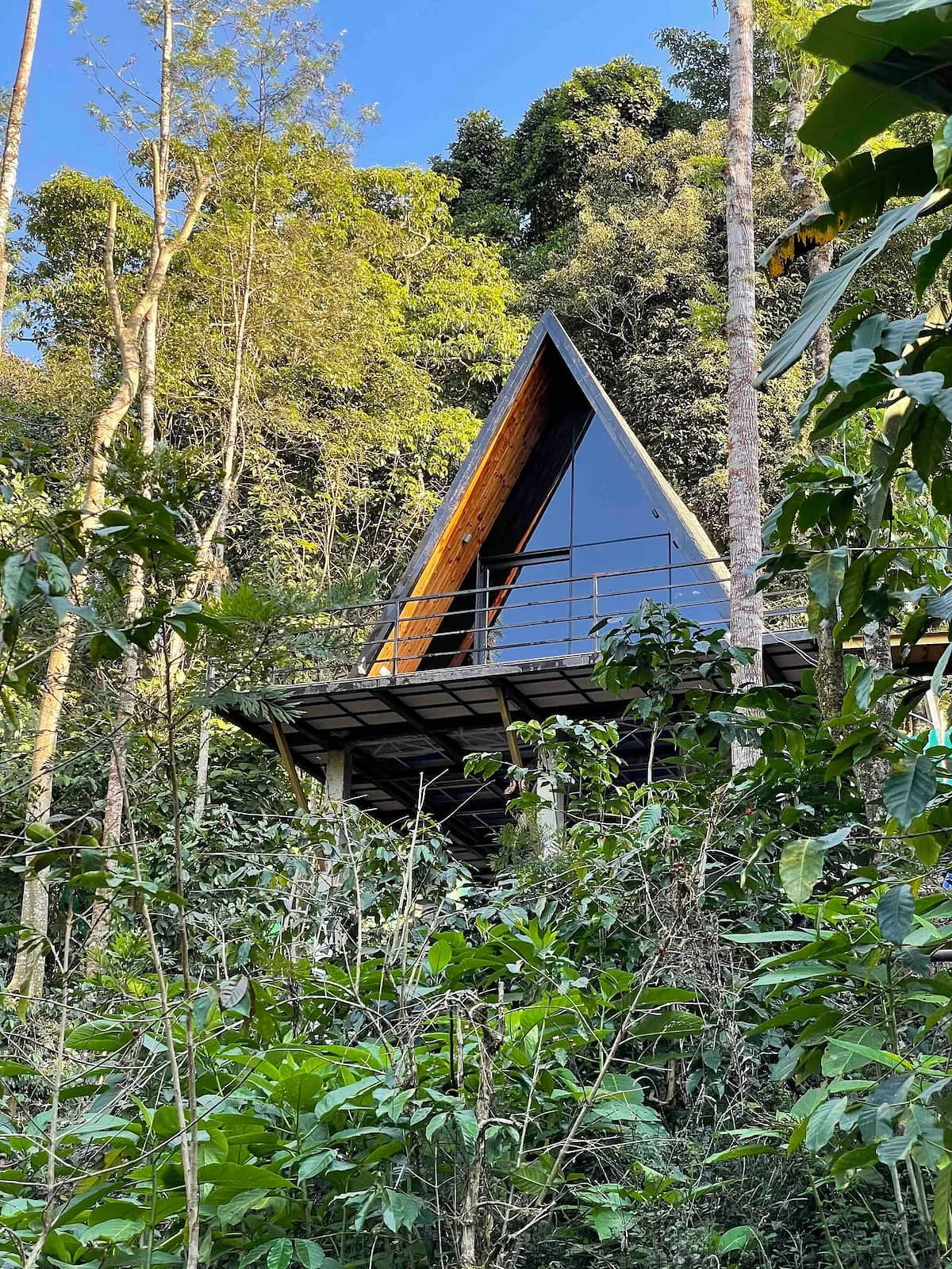 1N/2D at an A-Frame Cabin Stay at Chikmagalur Coffee Estate