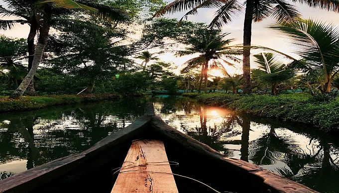 Backwater Boat Ride in the Hidden Waterways of Pondy
