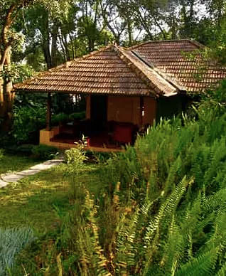Stay at an Ancestral Homestay in Coorg