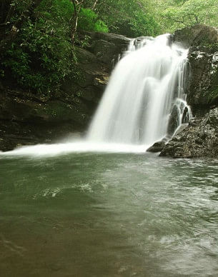 Waterfalls Trek near Mollem