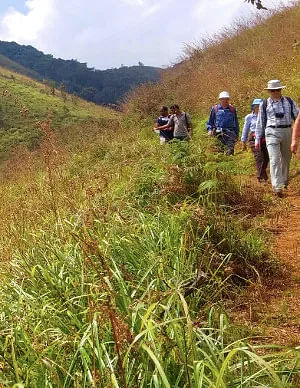 Hike through the Jungles and Mountains (Banasura Range)