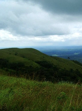 Hike through the Clouds in Coorg