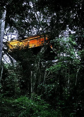 1N/2D at a Tropical Tree House