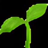 eco friendly1650373361.jpg