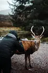 experience-2