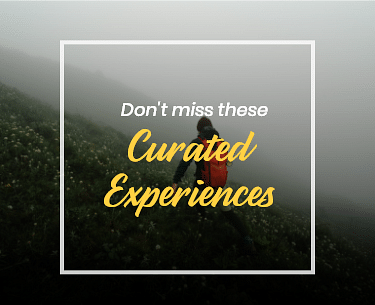 curated experiences