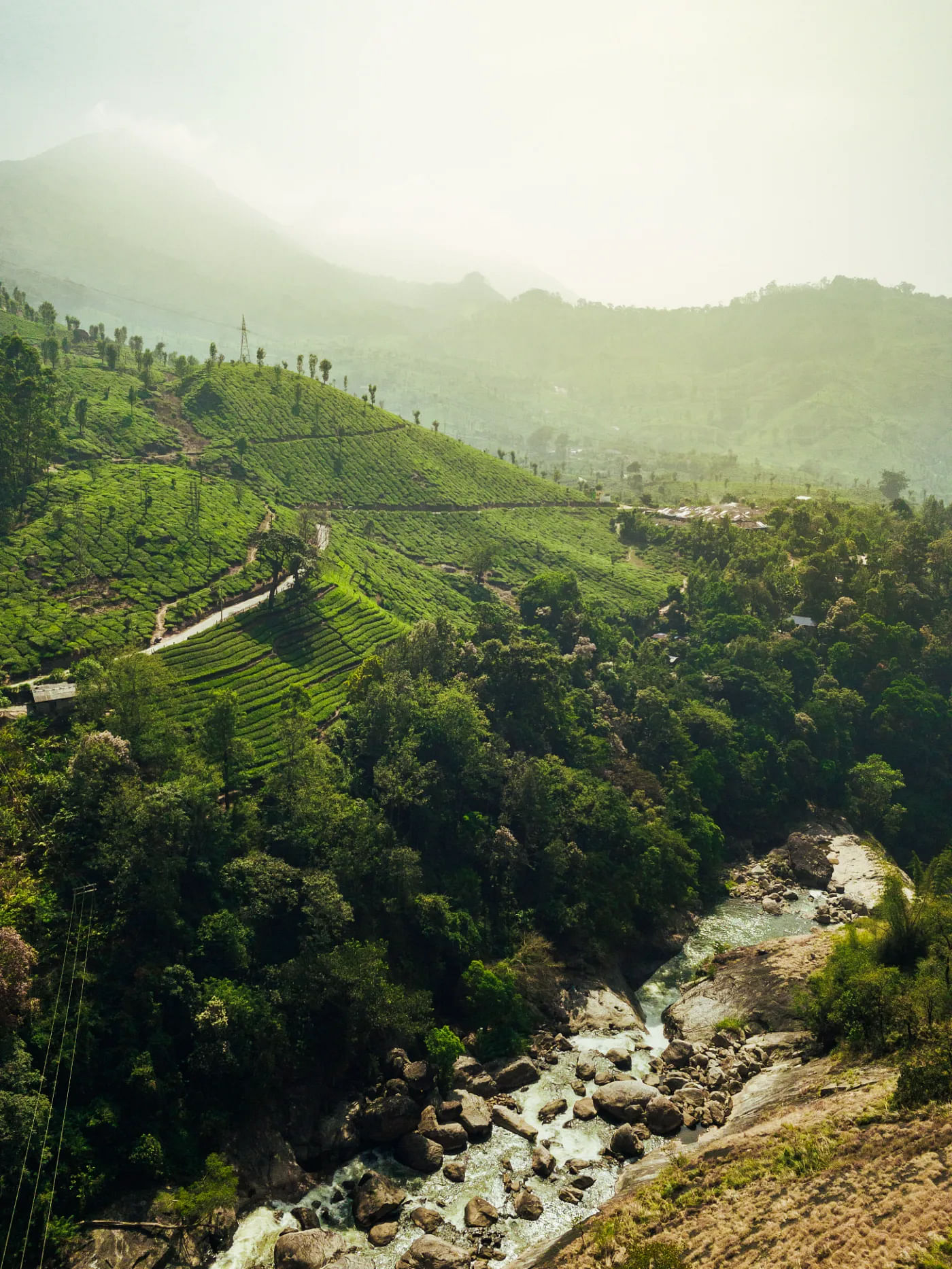 Hike through the Valleys, Plantations and Peaks of Munnar!