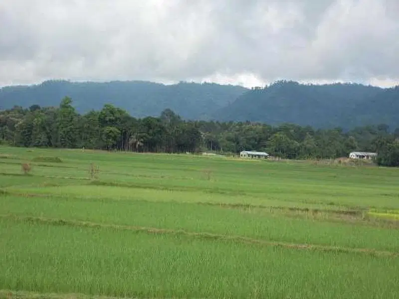 https://avathioutdoors.gumlet.io/travelGuide/dev/agartala_P5734.jpg