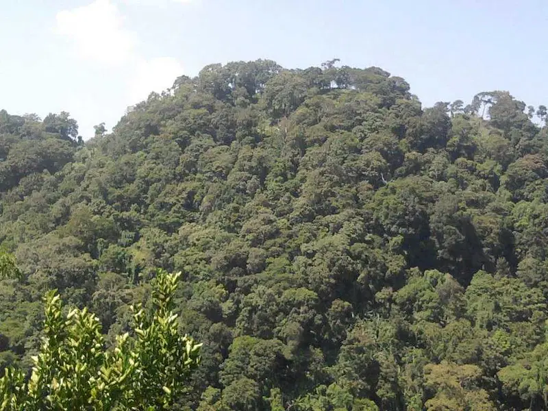 https://avathioutdoors.gumlet.io/travelGuide/dev/agartala_P8713.jpg
