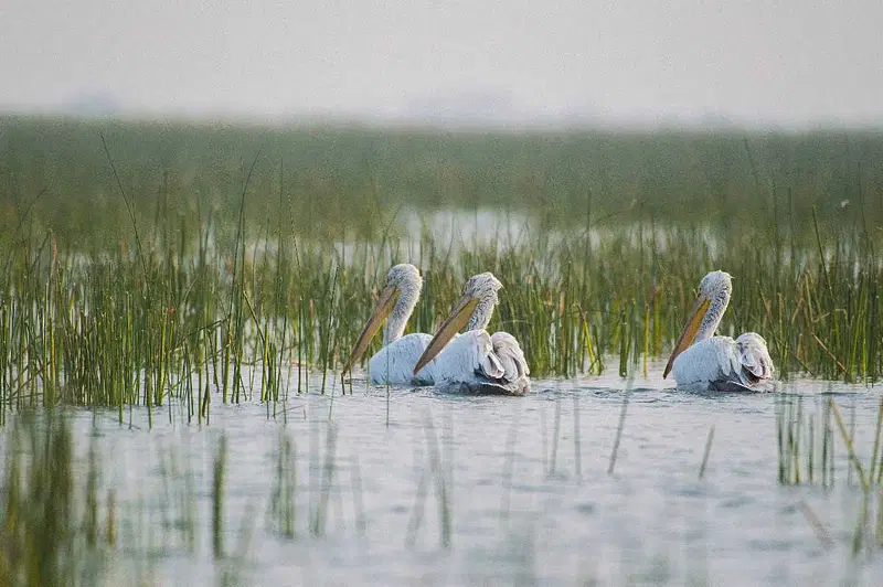 https://avathioutdoors.gumlet.io/travelGuide/dev/ahmedabad_P6307.jpg