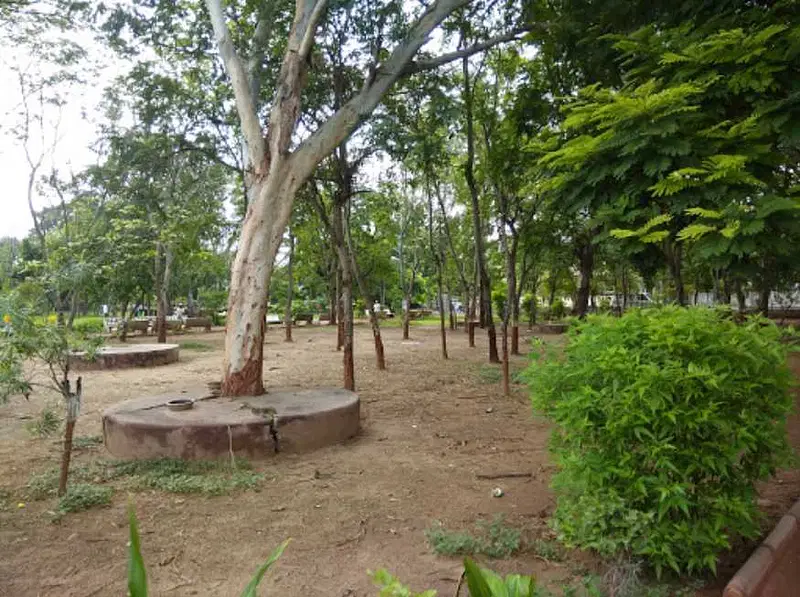https://avathioutdoors.gumlet.io/travelGuide/dev/ahmedabad_P6511.jpg