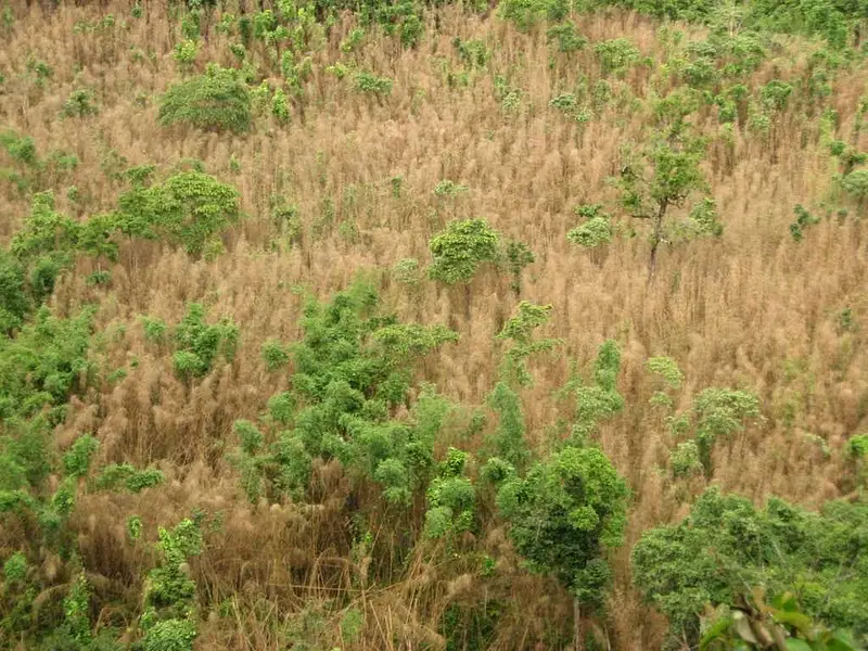 https://avathioutdoors.gumlet.io/travelGuide/dev/aizawl_P9472.jpg