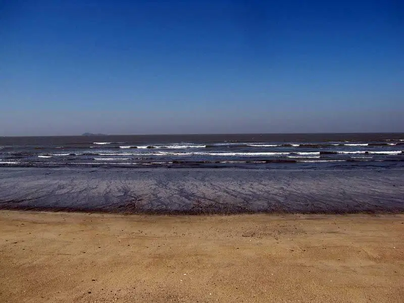 https://avathioutdoors.gumlet.io/travelGuide/dev/alibag_P4879.jpg