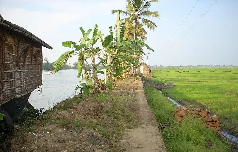 https://avathioutdoors.gumlet.io/travelGuide/dev/alleppey_P7624.jpg