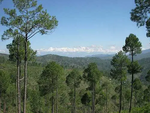 https://avathioutdoors.gumlet.io/travelGuide/dev/almora_P6427.jpg
