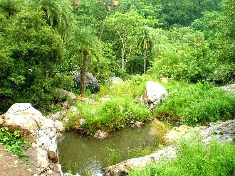https://avathioutdoors.gumlet.io/travelGuide/dev/alwar_P1598.jpg