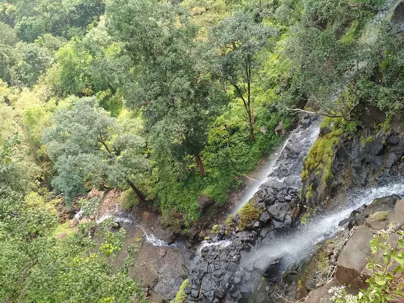 https://avathioutdoors.gumlet.io/travelGuide/dev/amarkantak21746.jpg