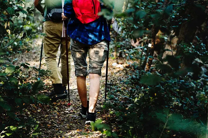 https://avathioutdoors.gumlet.io/travelGuide/dev/ananthagiri-hills_P5886.jpg
