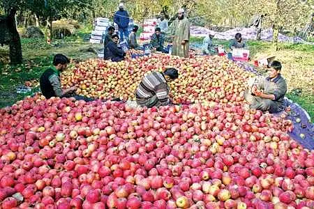 Explore Sopore Apple Markets