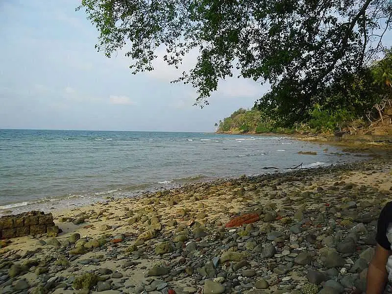 https://avathioutdoors.gumlet.io/travelGuide/dev/andaman-nicobar-islands63668.jpg