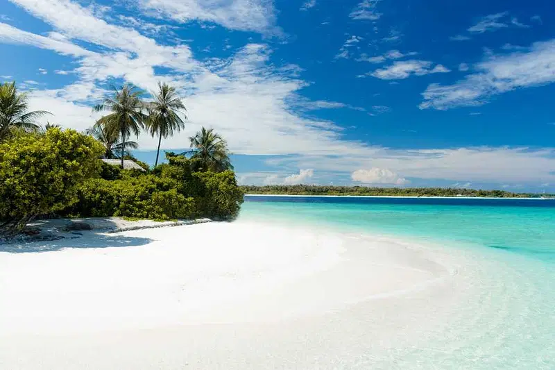 https://avathioutdoors.gumlet.io/travelGuide/dev/andaman-nicobar-islands82046.jpg