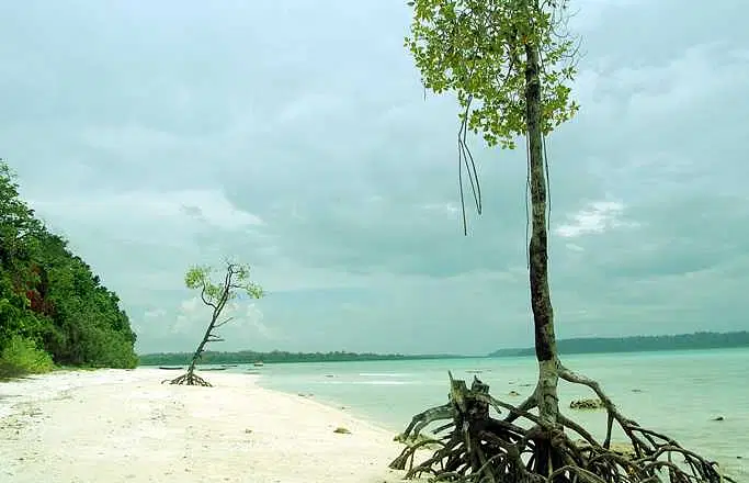 Explore Vijaynagar Beach