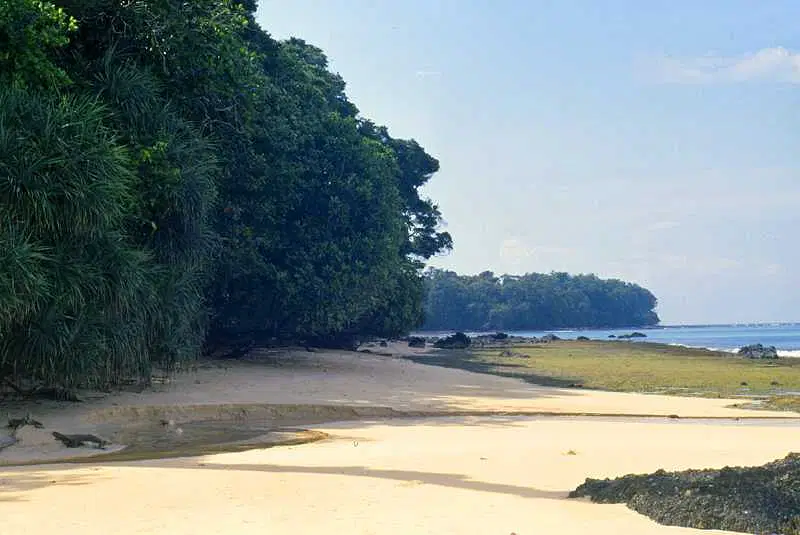 https://avathioutdoors.gumlet.io/travelGuide/dev/andaman-nicobar-islands_P5189.jpg