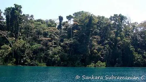 https://avathioutdoors.gumlet.io/travelGuide/dev/andaman-nicobar-islands_P5437.jpg